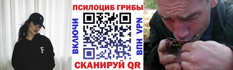 Галлюциногенные грибы Psilocybine cubensis  это состав  Белёв  купить наркотики цена 